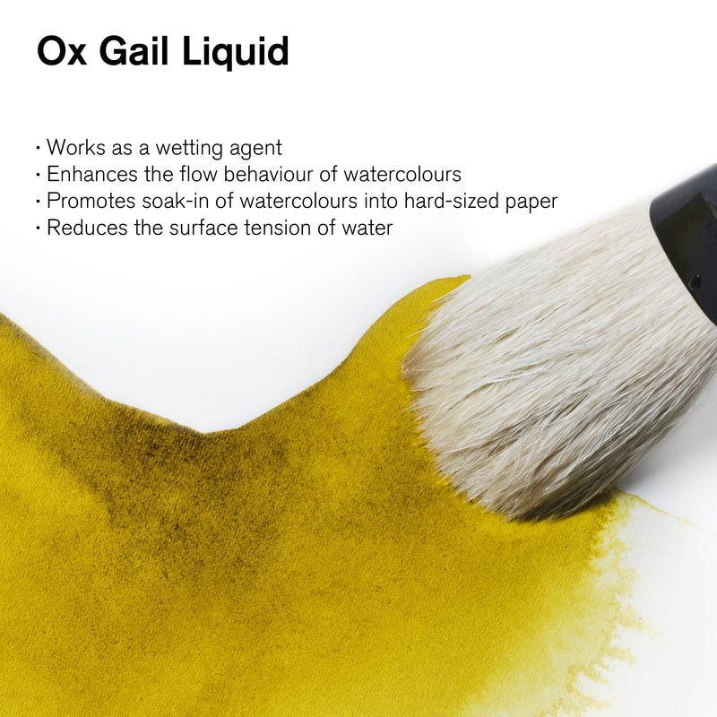 Winsor & Newton Ox Gall Liquid 75ml