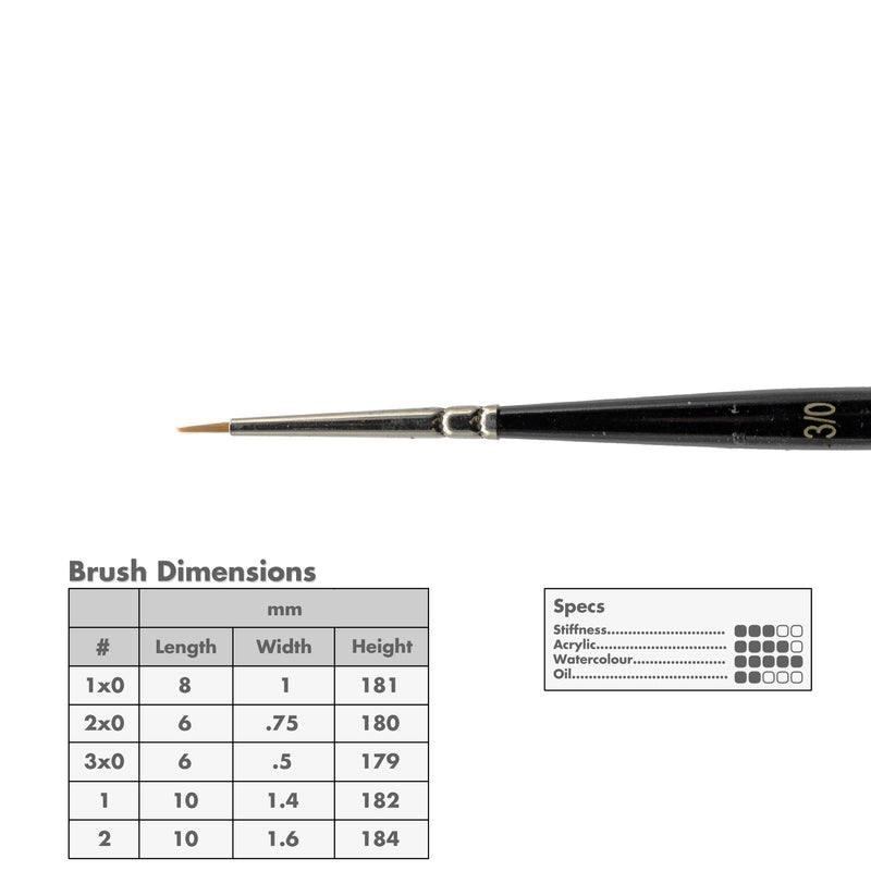 Curry's Series 2500 Gold Taklon Round Brushes