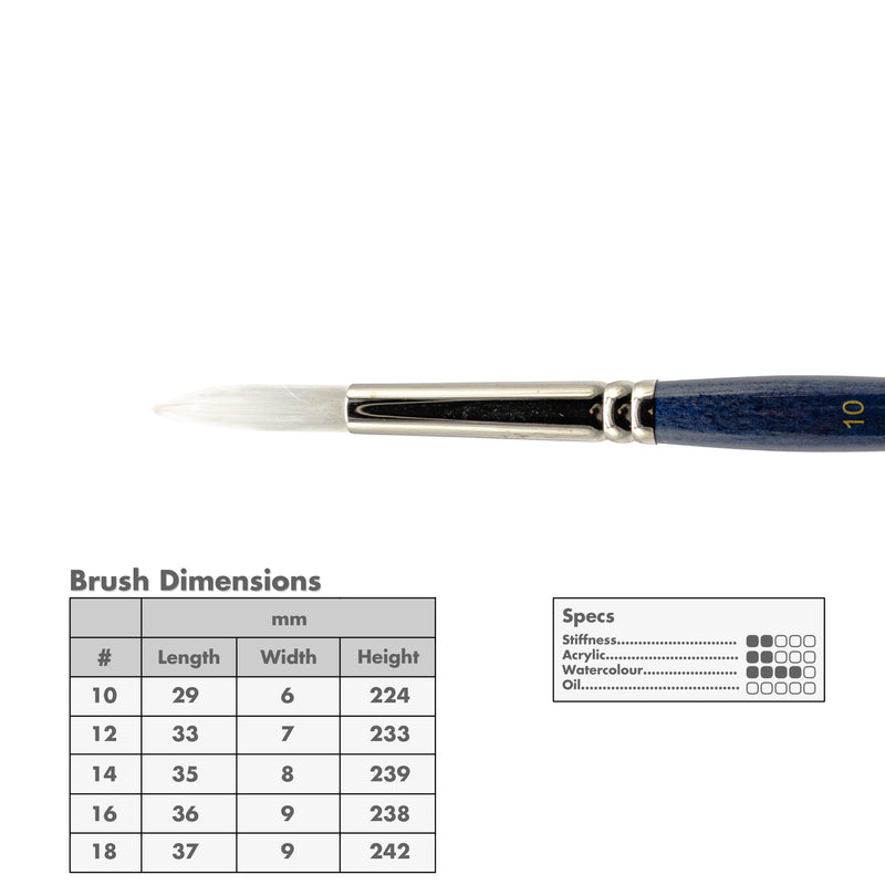 Curry's Series 2600 White Taklon Round Brushes