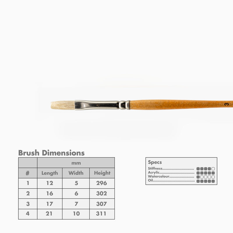 Curry's Series 755 Bristle Brushes