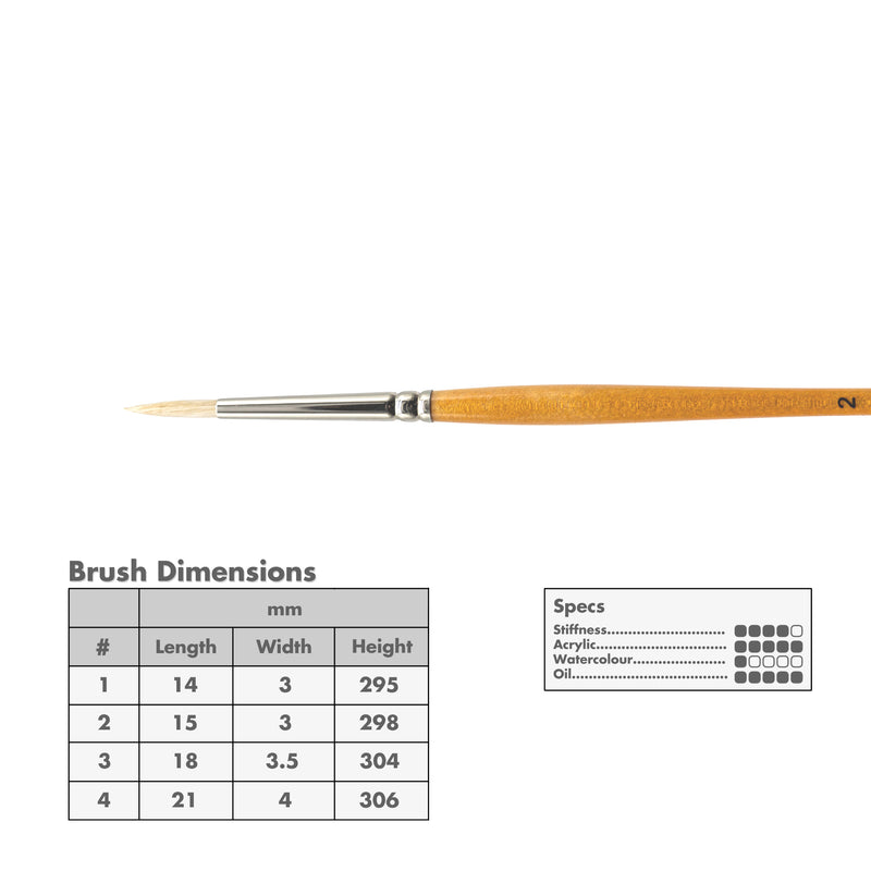 Curry's Series 755 Bristle Brushes