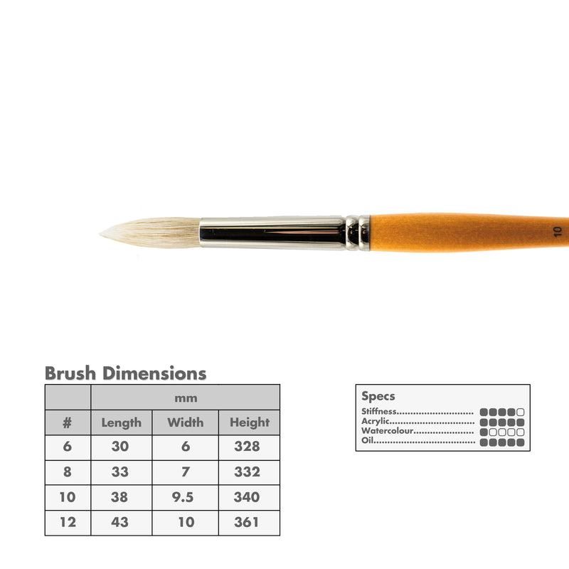 Curry's Series 755 Bristle Brushes